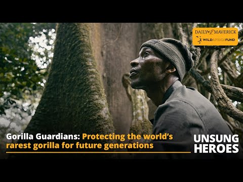 UNSUNG HEROES | Gorilla Guardians