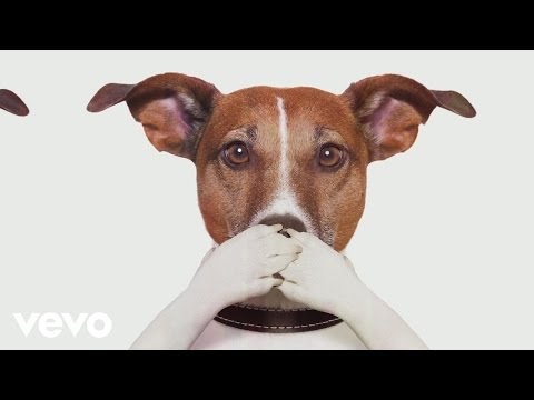 SOLOzuVIERT - Nachbarn (Videoclip)