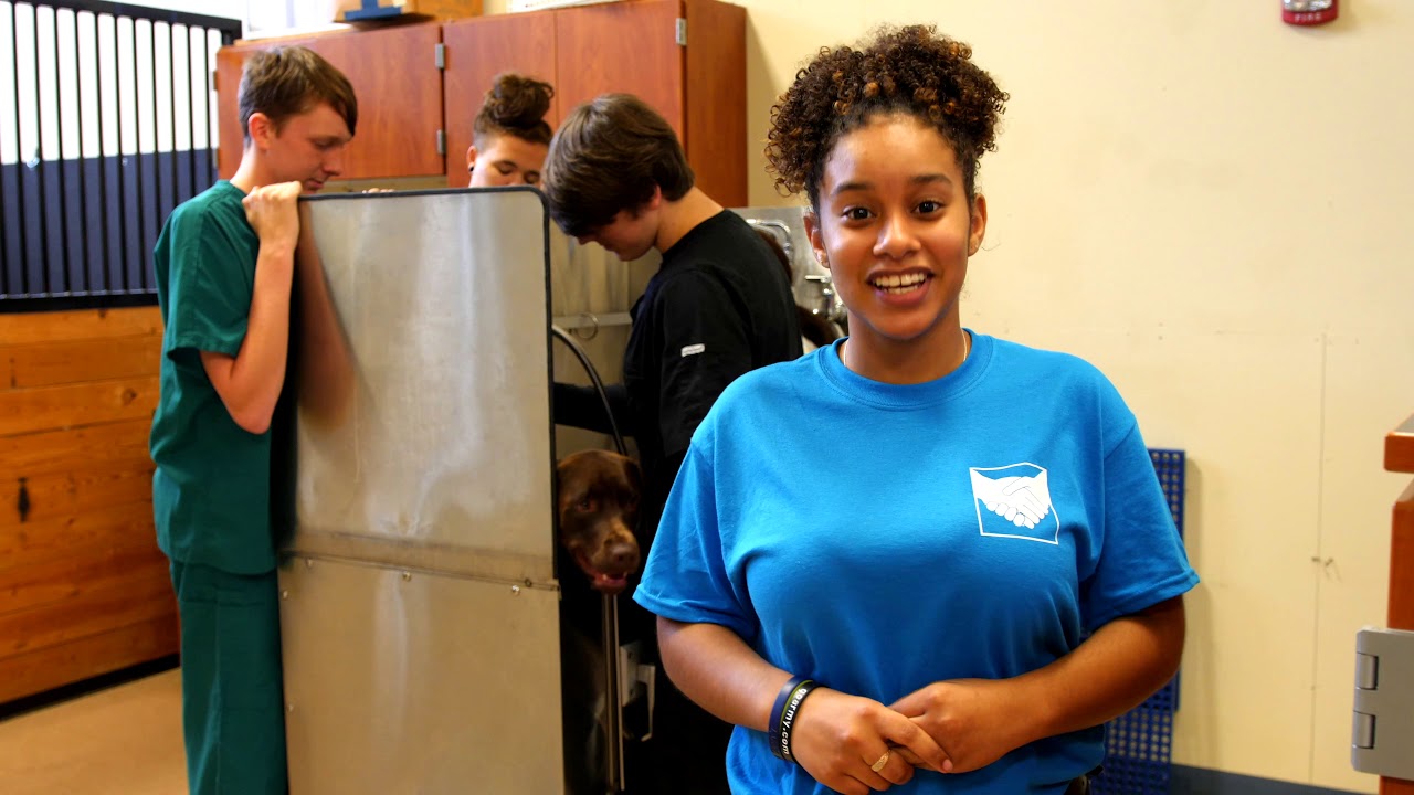 DCTS  Veterinary Assistant