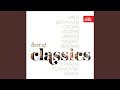 Concerto for Two Violins and Orchestra in D minor, BWV 1043 - Vivace
