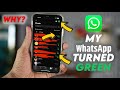 My WhatsApp Turned Green iPhone what should i do & why has my whatsapp turned green instead of blue