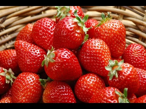 download lagu mp3 mp4 Soñar Con Frutillas, download lagu Soñar Con Frutillas gratis, unduh video klip Download Soñar Con Frutillas Mp3 dan Mp4 Free All Gratis