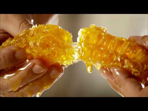 Soulfood Serbia - Honey