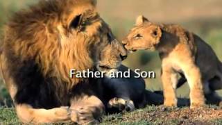 Surah Al Iklaas - Allah, out of His mercy, gave these ayat as a criterion to determine whether the gods a person worships ...