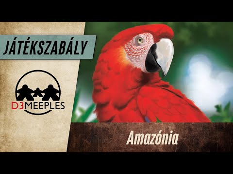 JÁTÉKSZABÁLY: AMAZÓNIA - d3meeples