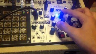 Make Noise Phonogene Module - What To Know & Where To Buy | Equipboard