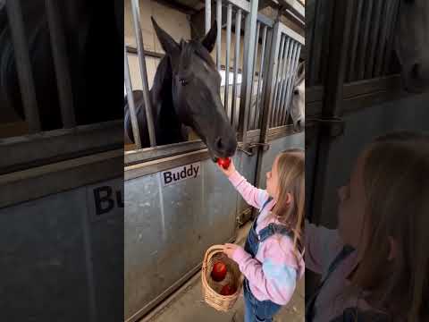 Little Girl Brings Tomatoes for Her Horse Friends🐴🍅...#shorts #shortvideo #shortsviral