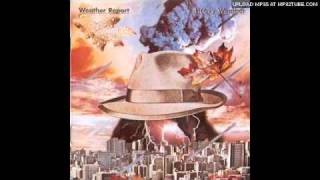 Weather Report - Rumba Mama