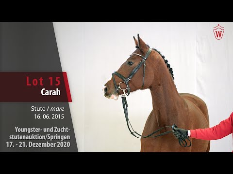 Youngster- u. Zuchtstutenauktion/Springen Lot 15 Carah Stute v. Casall -  Contender