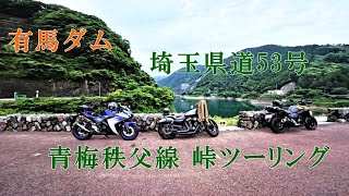 【モトブログ】埼玉県道53号青梅秩父線 峠ツーリング（HD画質推奨）#YZFR25 #Vストローム #ハーレー８８３ #有馬ダム