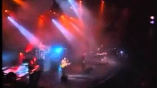 DEJAME SOÑAR.-  LOS TEMERARIOS