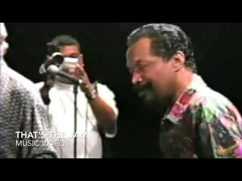 Private Video of Fania All-Stars (Azuquita Mami)