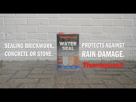 Thompson's Water Seal
