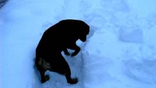 preview picture of video '2009 - Bekky na sněhu - Bekky in the snow / 2.'