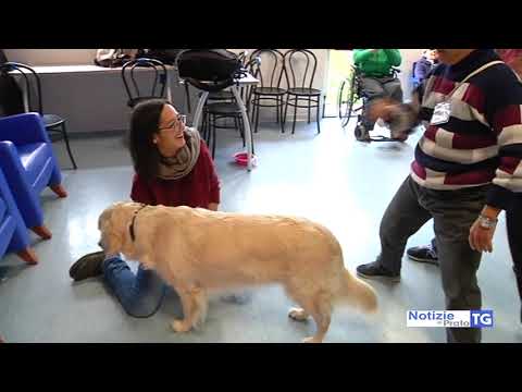 2020-08-27 PRATO - TEST SERIOLOGICO A OPERATORI, A RISCHIO I CENTRI DIURNI