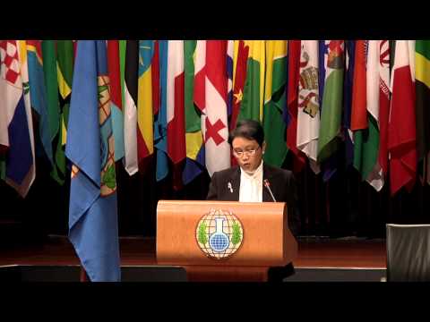 Indonesia - H.E. Mrs Retno L.P. Marsudi, Permanent Representative to the OPCW
