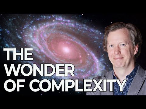 Sean Carroll on the Enigma of Complexity | Win-Win Podcast