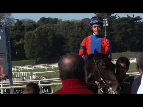 221002 c05 Clásico Gran Premio  de Honor / NATHAN (BRZ) 2/10/2022