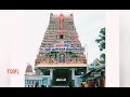 Vadapalani Murugan Temple Murugan WhatsApp Status Tsofl