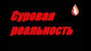 Суровая реальность