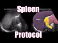 Spleen Protocol