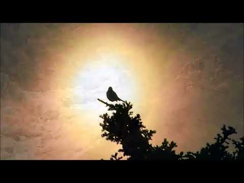 PSALM 47/Gott, der König aller Völker