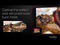 Atminties kortelė Sandisk Extreme microSDHC UHS-I 32GB