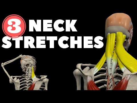 Neck Stretches for Instant pain relief