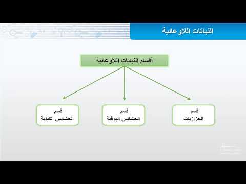 فيديو تعليمي