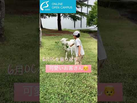 【尚絅学院大学】6月OC振り返り【7/22&8/5OC開催！】