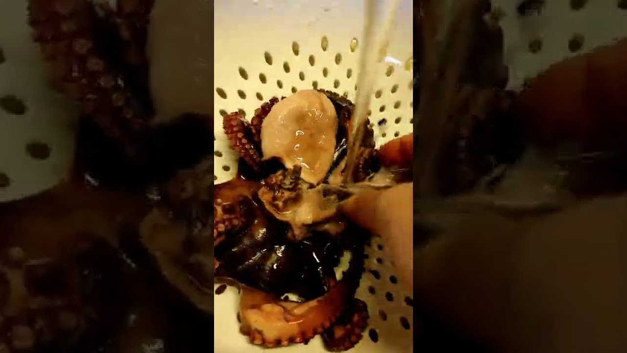 Come cucinare il polpo in pentola a pressione