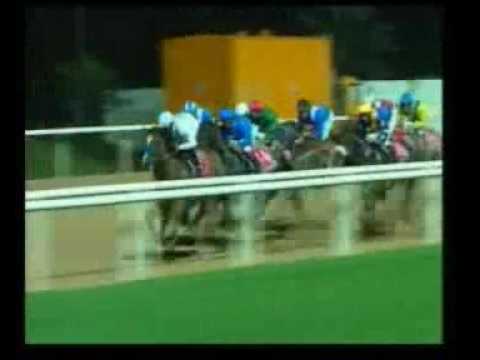 Dubai World Cup (Gr.I) - 2009 - Vencedor:  Well Armed - 2°: Glória de Campeão