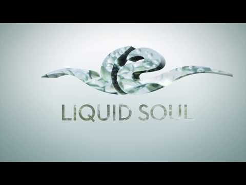 Liquid Soul & Zyce feat. Solar Kid - I See You
