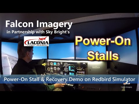 Power On Stall & Recovery Demo on Redbird Simulator