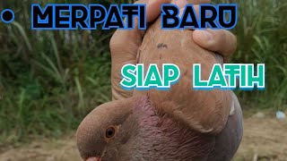 Download lagu Merpati kentong baru mp3