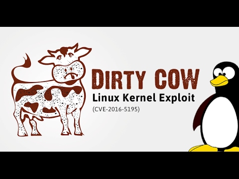 Kernel Local Privilege Escalation "Dirty COW" Exploit Demonstration - CVE-2016-5195  !!!