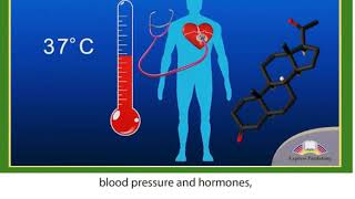 11 ACTION Module 3 Video 1  The Human Brain