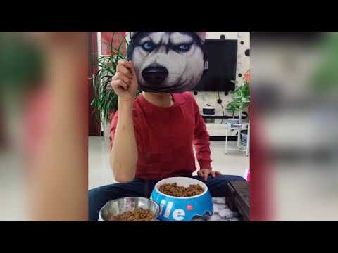 This is a funny video 2018-03