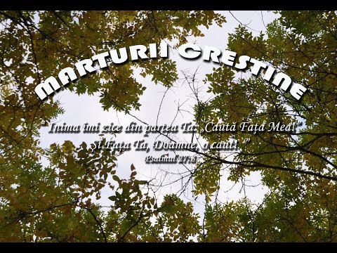 Marturie Stefan Sauleanu - partea 1