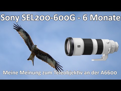 Sony SEL200-600G - 6 Monate später - Meine Meinung zum Supertele für den E-Mount - Langzeittest