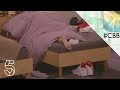 A G K I S S I N G Day 16 Celebrity Big Brother 2018