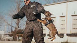 The World's CUTEST Dogs Becoming Future Police! 🐶