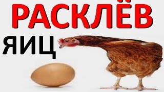 Что надо давать курам чтобы они не клевали яйца