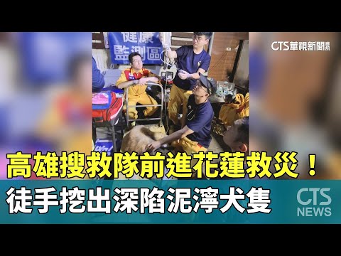 高雄搜救隊前進花蓮救災！　徒手挖出深陷泥濘犬隻