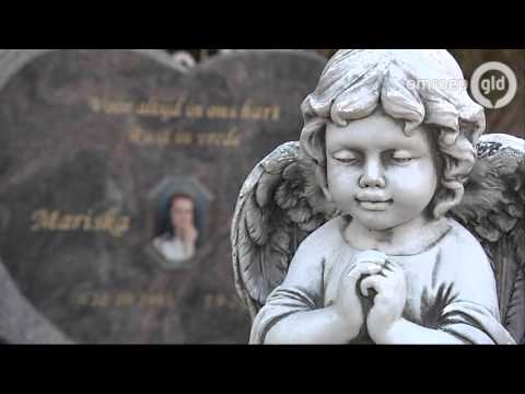 GLD VANDAAG - 19-april-2016 - Omroep Gelderland