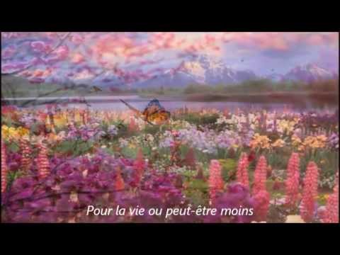 Michel Polnareff Tribute No.11 "Ame Caline - Soul Coaxing"