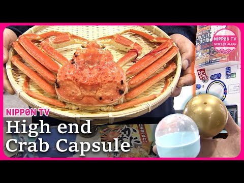 【鳥取の新名所？！】ガチャガチャで高級カニが当たるかも