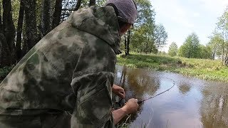 Ловля голавля на волге с берегами