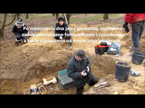 Badania grobu kultury złockiej w Kleczanowie w 2014 r.