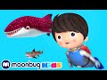 Shark Song LBB Songs Learn With Little Baby Bum Nursery Rhymes Moonbug Kids